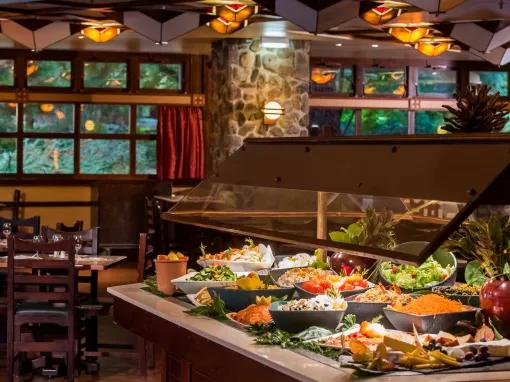 Disney's Sequoia Lodge