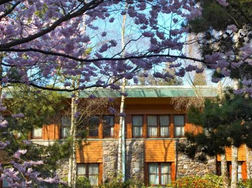 Disney's Sequoia Lodge