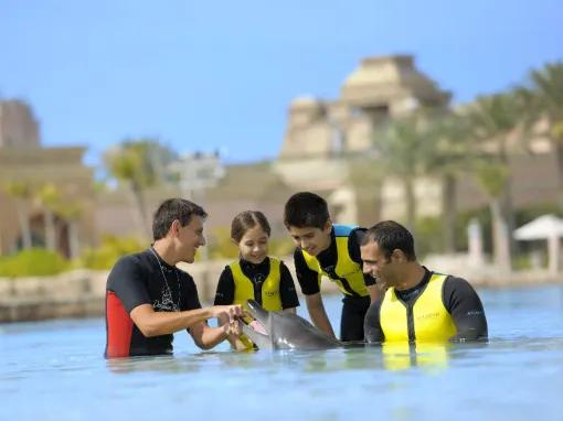 Dolphin Bay at Atlantis The Palm