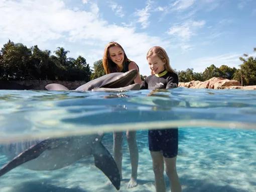 Discovery Cove Day Ticket