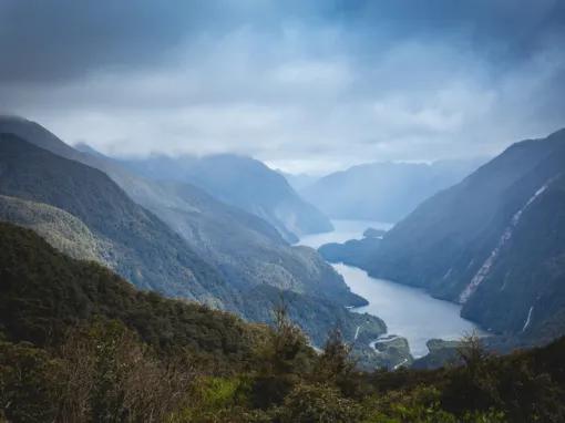 Doubtful Sound Wilderness Cruise from Queenstown