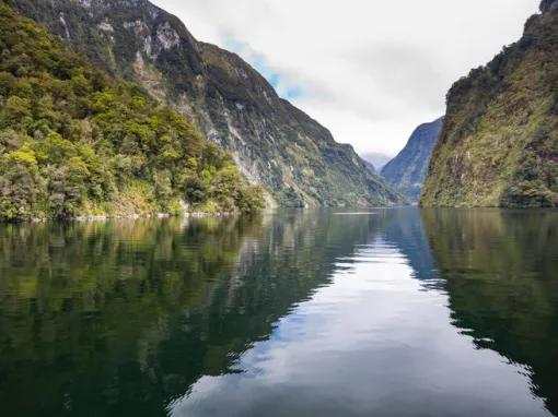 Doubtful Sound Wilderness Cruise from Queenstown