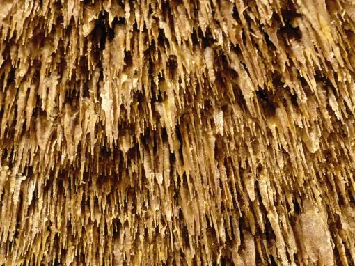 Caves of Drach Half-day Tour