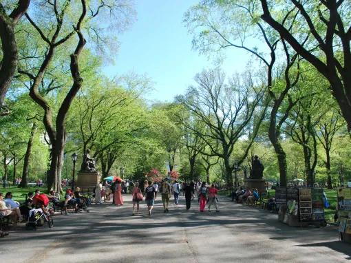Central Park Walking Tour