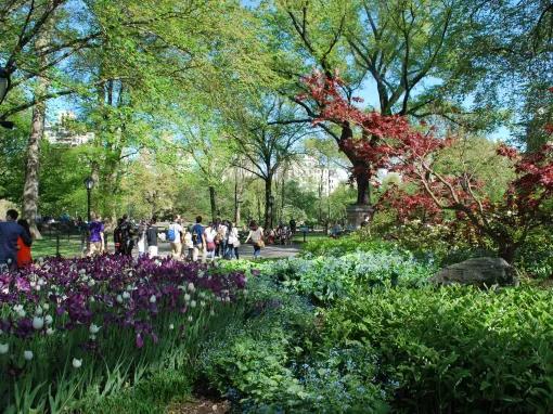 Central Park Walking Tour