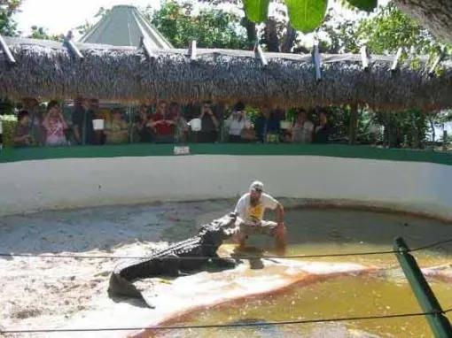 Fort Lauderdale Island Adventure Tour