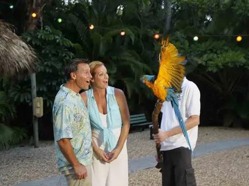 Fort Lauderdale Island Adventure Tour