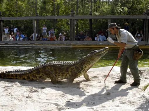 Gatorland