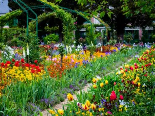 Giverny Half Day Tour with Audio Guide from Paris
