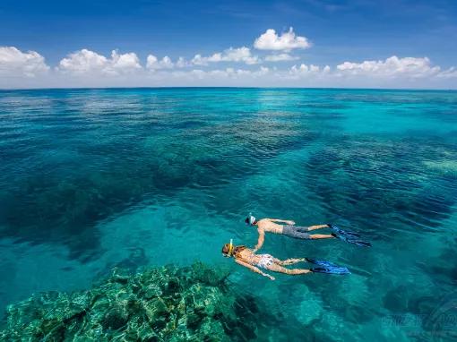 Great Adventures Great Barrier Reef Adventure from Cairns