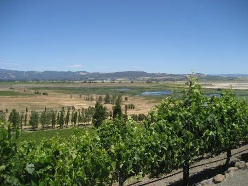 California Wine Country - Half Day Tour to Sonoma from San Francisco 
