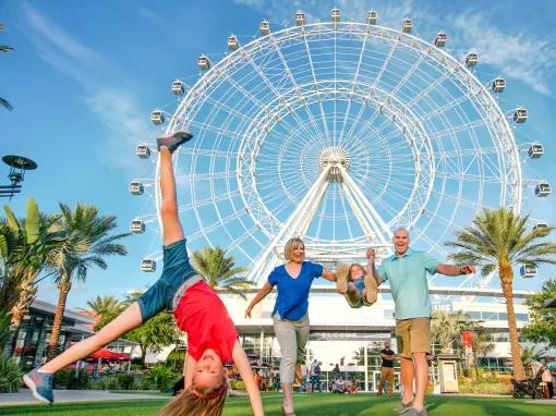 The Wheel at ICON Park™ Ticket