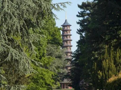 Kew Gardens and Kew Palace Ticket