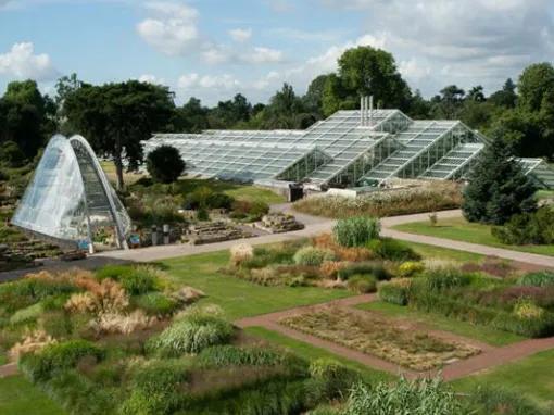Kew Gardens and Kew Palace Ticket