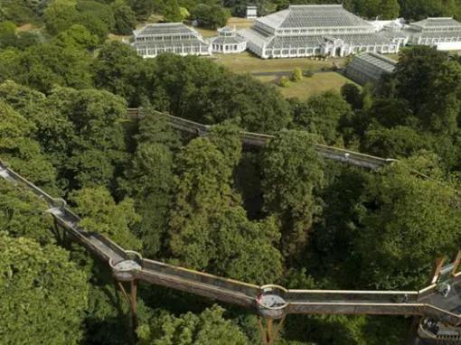 Kew Gardens and Kew Palace Ticket