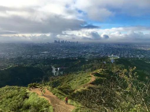 Hollywood Hills Guided Hike