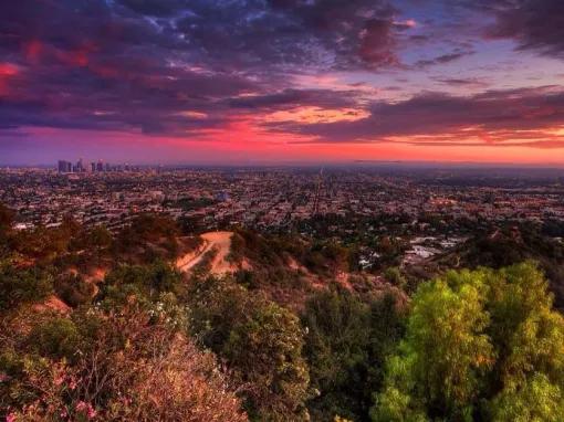 Hollywood Hills Guided Hike
