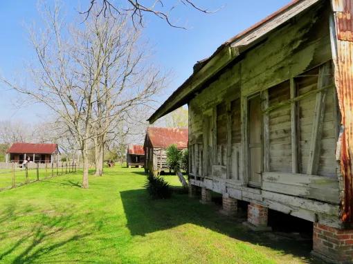 Double Plantation Tour