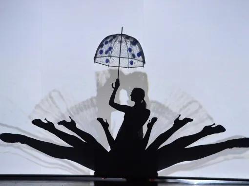 Lido de Paris Dinner and Show Tickets