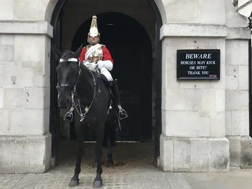 London In a Day: Tower of London, Westminster Abbey & Changing of the Guard