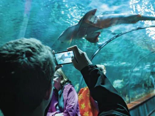 Loro Parque and Siam Park Twin Ticket