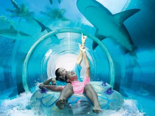 [COMBO-DO NOT BOOK] Aquaventure Water Park Admission Ticket