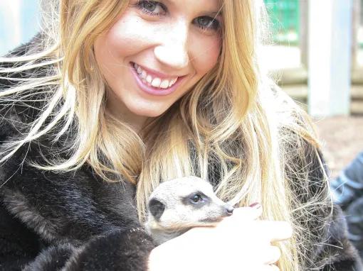 Meet the Meerkats – Experience Voucher