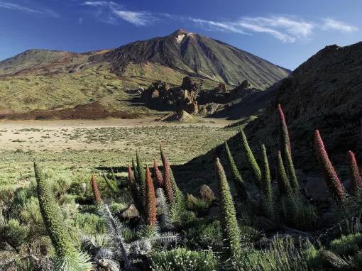 Mount Teide Sunset Tour & Cable Car with transfers