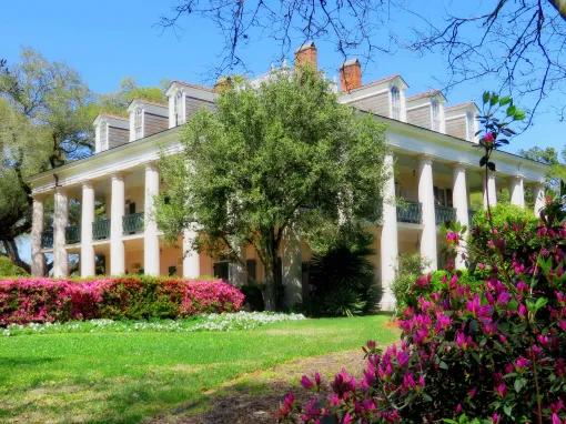 Double Plantation Tour