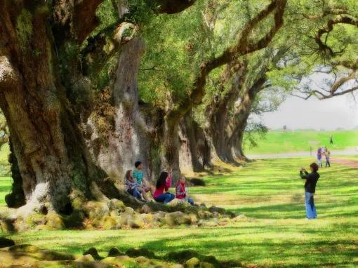 Oak Alley Plantation Tour