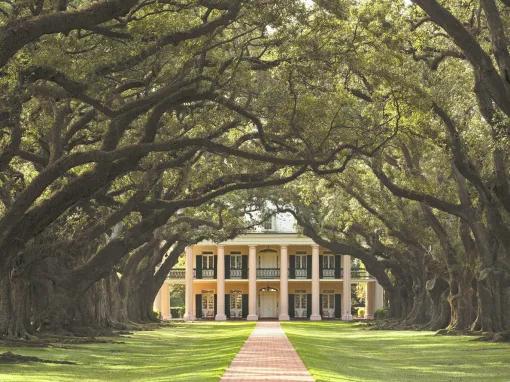 Oak Alley Plantation Tour