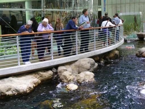California Academy of Sciences