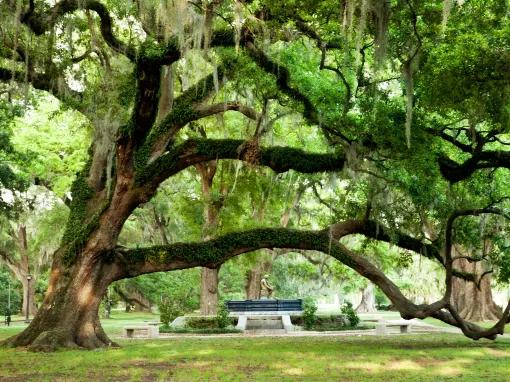 New Orleans Paddle and Wheel Tour