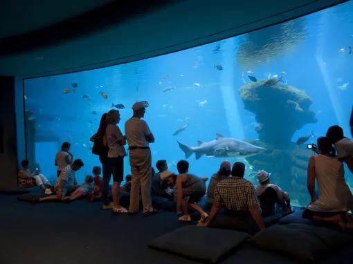 Palma Aquarium