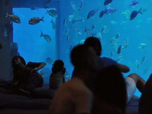 Palma Aquarium