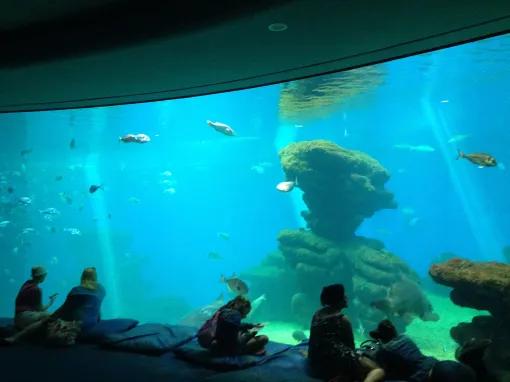 Palma Aquarium