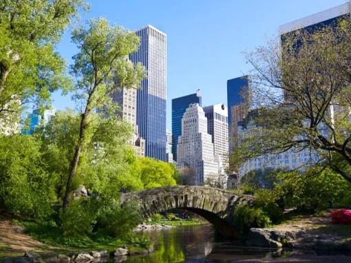 Central Park Pedicab Tour