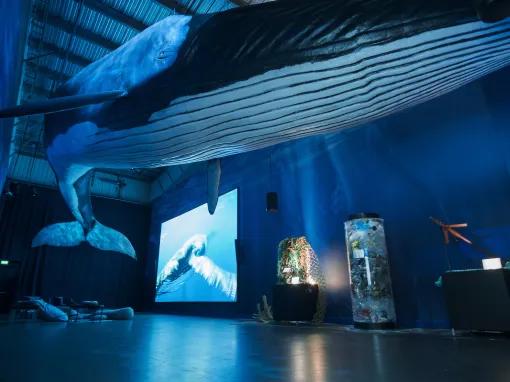 Whales of Iceland Exhibition - Entrance Ticket