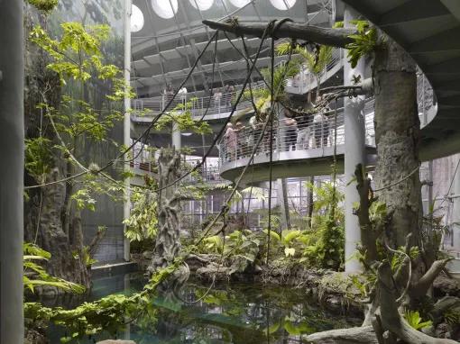 California Academy of Sciences