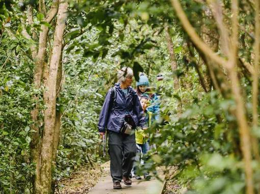 Rangitoto Volcanic Explorer Tour