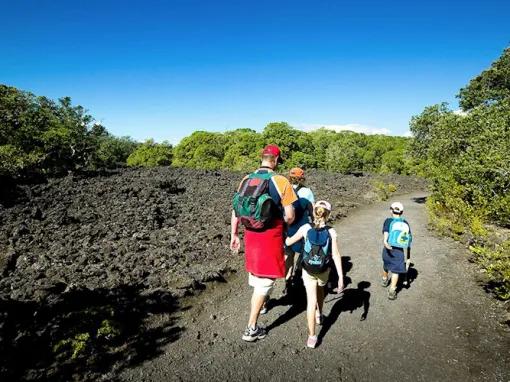 Rangitoto Volcanic Explorer Tour