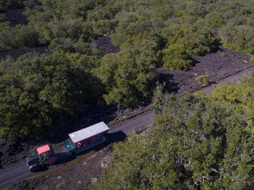 Rangitoto Volcanic Explorer Tour