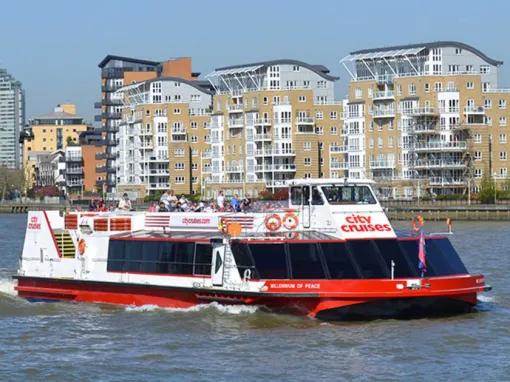 River Thames Hop-on Hop-off Sightseeing Cruise & Tower of London Combo Ticket