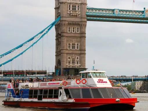 River Thames Hop-on Hop-off Sightseeing Cruise & Tower of London Combo Ticket