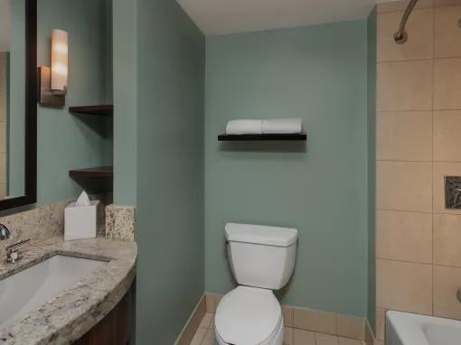 Deluxe Studio - Theme Park View