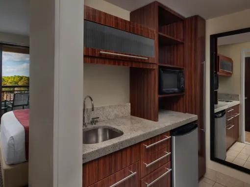 Deluxe Studio - Theme Park View