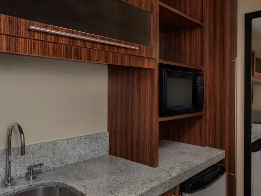 Deluxe Studio - Theme Park View