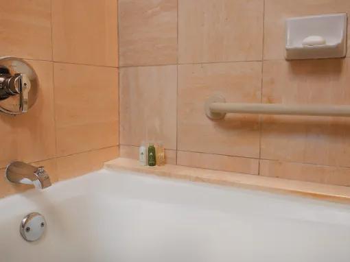 Outer Bldg - Deluxe Room - Garden View