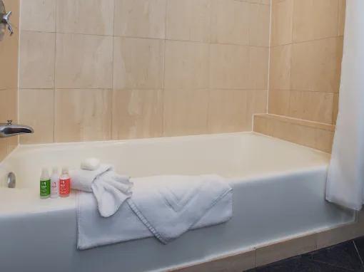 Bay Lake View - 1 Bedroom Suite - Club Level