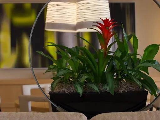 Bay Lake View - 2 Bedroom Suite - Club Level